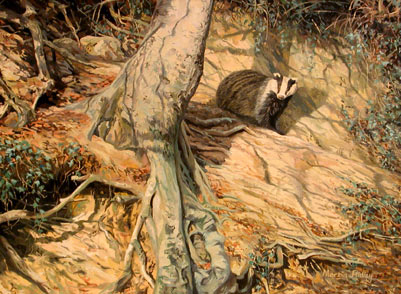 Badger Paintings