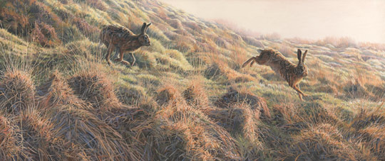 brown harte pictures - a painting of mad march hares chasing
