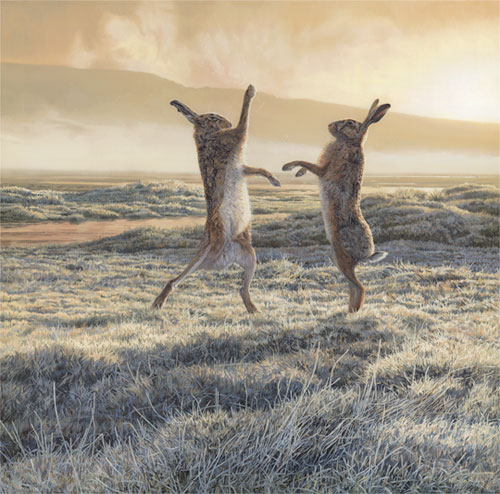 Boxing Hares in a frosty field as the mist lifts - Brown hares oil painting by Martin Ridley