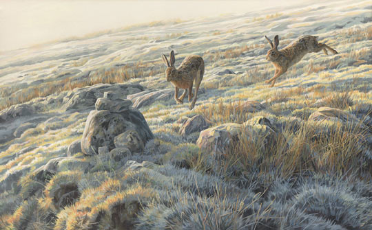Brown hares original oil painting