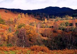 Photo: Perthshire in autumn