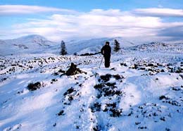 Beinn Vrackie viewed from Killiecrankie - tourist information below