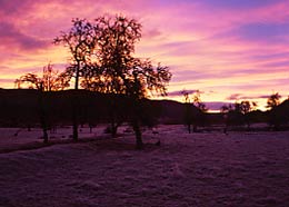 view from our previous house - sunrise over the old orchard