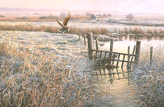 Hunting barn owl print - detailed painting of a frosty morning in the marshes
