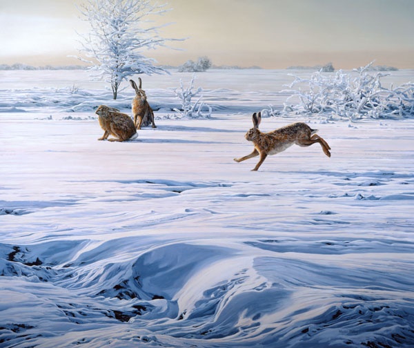 Picture of three brown hares in the snow