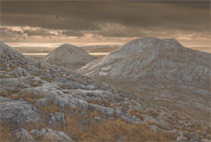 View of Islay from the Paps of Jura Circling Golden Eagles - oil painting by Martin Ridley