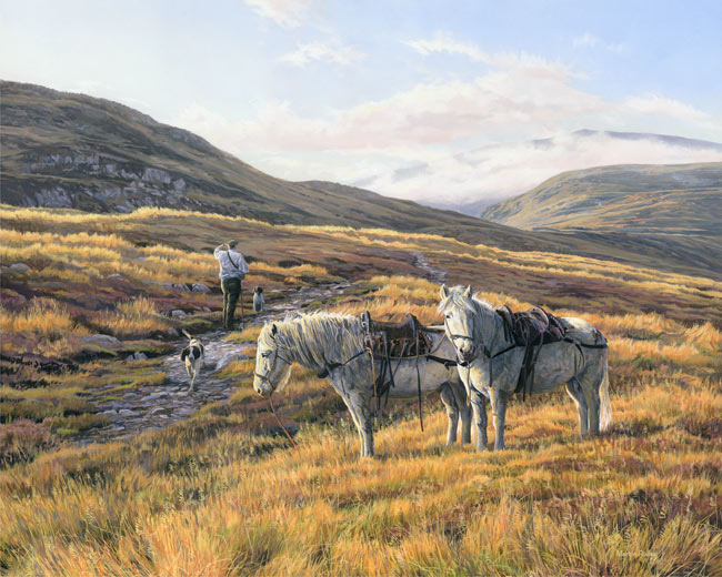 Scottish stalking ponies_Highland Garrons on Ben Vorlich, Ardvorlich Estate - Canvas prints for sale from an oil painting by Martin Ridley. Stalker spying ahead
