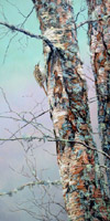 Bird paintings: treecreeper picture, Certhia familiaris