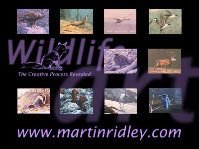 download free wildlife screensavers - wildlife paintings by artist Martin Ridley