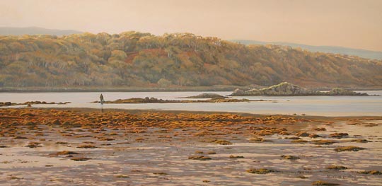 Knapdale, Taynish Nature Reserve