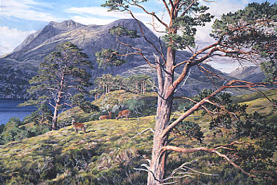 Landscape paintings - Slioch, Loch Maree