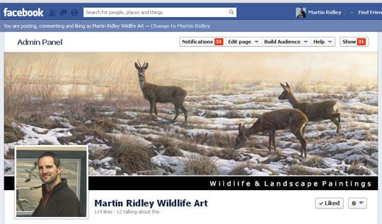 Facebook Martin Ridley Wildlife Art - Business Page