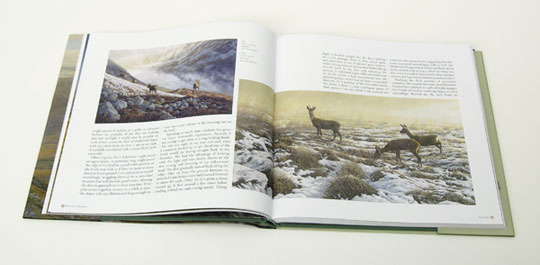 Roe deer - First Snow page