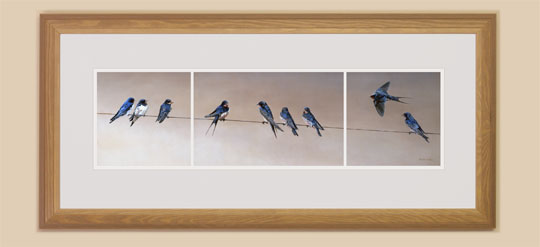 Gathering Swallows Framed Print for Sale