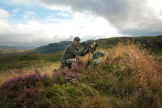 Martin Ridley - Wildlife Artist