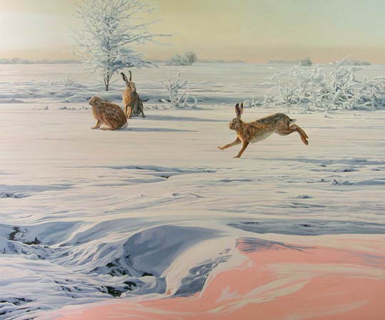 brown hares in snow painting - Lepus europaeus