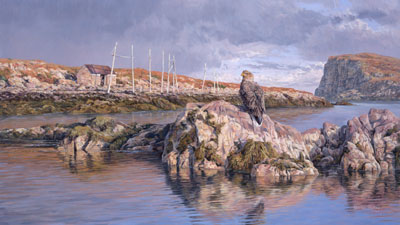 Wildlife Art : Sea Eagle Painting