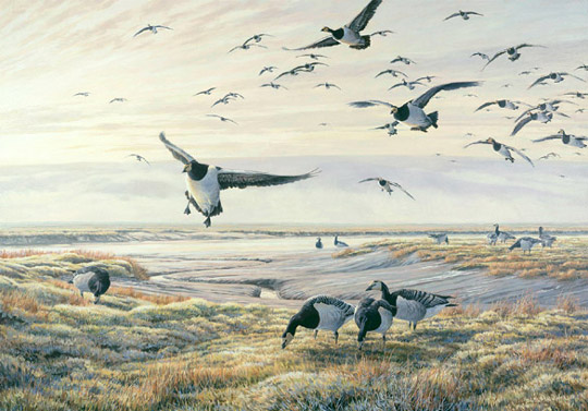 Oil painting of barnacle geese on a saltmarsh