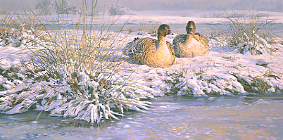 Wildfowl goose paintings: Painting of pink-footed geese in the snow
