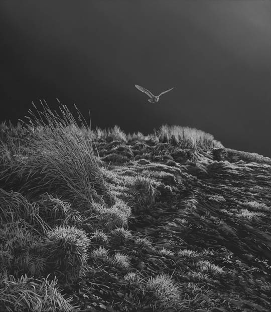 Barn owl hunting by moonlight - Oil painting