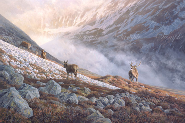 Red Deer Prints for Sale - red deer stag and hinds in scottish mountain landscape - roaring stag wildlife print
